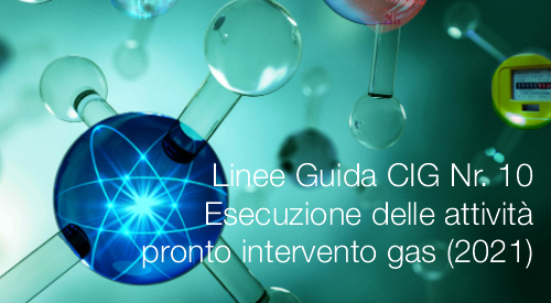 Linee Guida CIG Nr 10 L esecuzione delle attivit di pronto intervento gas 2021 Linee Guida CIG Nr 10 L esecuzione delle attivit di pronto intervento gas 2021