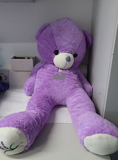 Peluche report 41 2021 Peluche report 41 2021