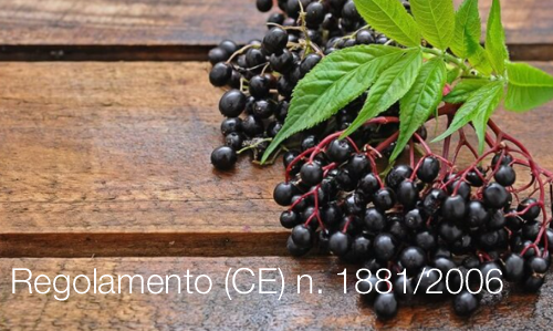 Regolamento CE n 1881 2006 Regolamento CE n 1881 2006