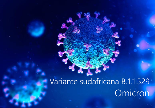 Variante sudafricana B 1 1 529 Omicron Variante sudafricana B 1 1 529 Omicron