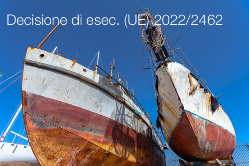 Decisione di esecuzione UE 2022 2462 Decisione di esecuzione UE 2022 2462