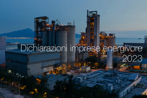 Dichiarazioni imprese energivore 2023 Dichiarazioni imprese energivore 2023
