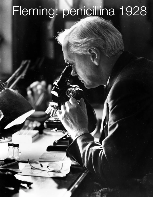 Fleming la scoperta della penicillina 1928 Fleming la scoperta della penicillina 1928
