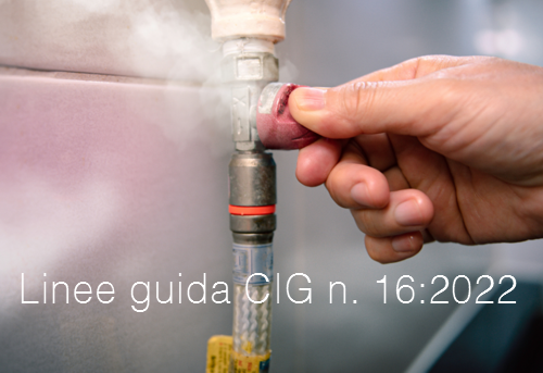 Linee guida CIG n 16 2022 Linee guida CIG n 16 2022