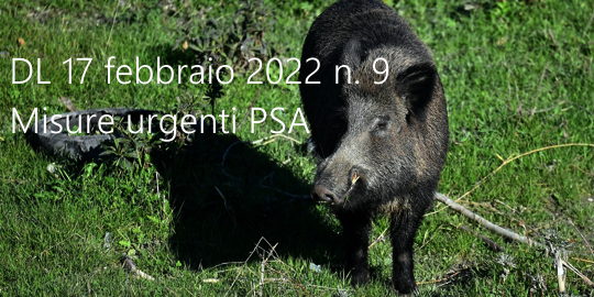 Misure urgenti per arrestare la diffusione della peste suina africana PSA Misure urgenti per arrestare la diffusione della peste suina africana PSA