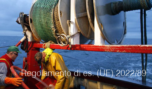 Regolamento di esecuzione 2022 89 Regolamento di esecuzione 2022 89