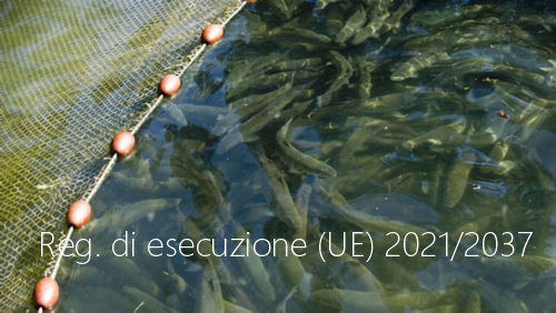 Regolamento di esecuzione UE 2021 2037 Regolamento di esecuzione UE 2021 2037