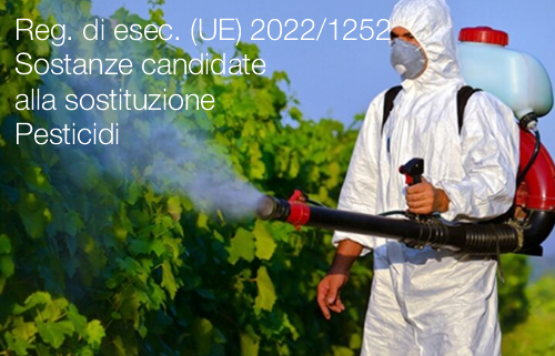 Regolamento di esecuzione UE 2022 1252 Regolamento di esecuzione UE 2022 1252