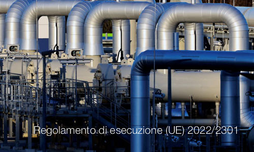 Regolamento di esecuzione UE 2022 2301 Regolamento di esecuzione UE 2022 2301