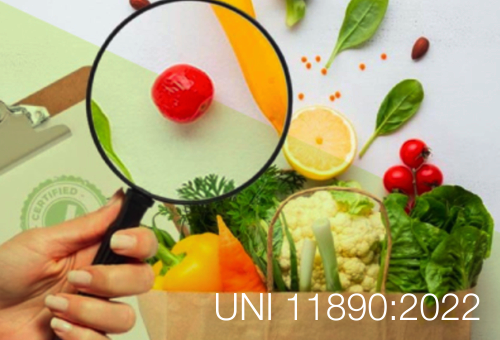 UNI 11890 2022 UNI 11890 2022