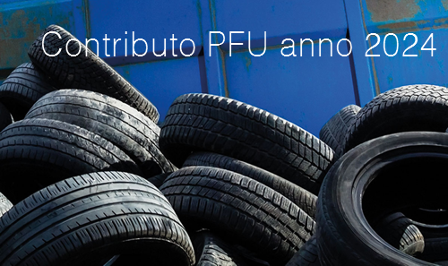 Contributo PFU anno 2024 Contributo PFU anno 2024