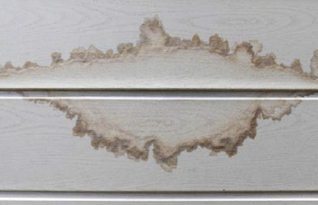 Dampness and Mold Assessment Tool 01 Dampness and Mold Assessment Tool 01