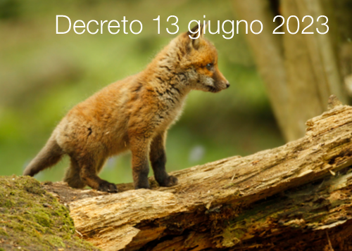 Decreto 13 giugno 2023 Decreto 13 giugno 2023