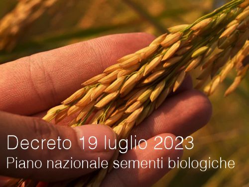 Decreto 19 luglio 2023 Piano nazionale delle sementi biologiche Decreto 19 luglio 2023 Piano nazionale delle sementi biologiche