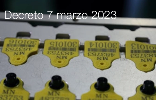 Decreto 7 marzo 2023 Decreto 7 marzo 2023