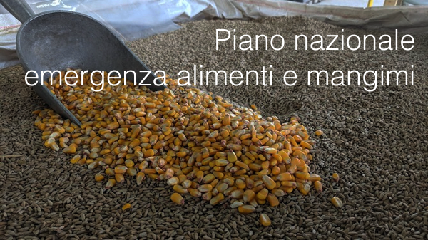 Piano nazionale di emergenza per alimenti e mangimi Piano nazionale di emergenza per alimenti e mangimi