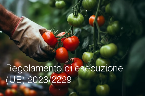 Regolamento di esecuzione UE 2023 2229 Regolamento di esecuzione UE 2023 2229