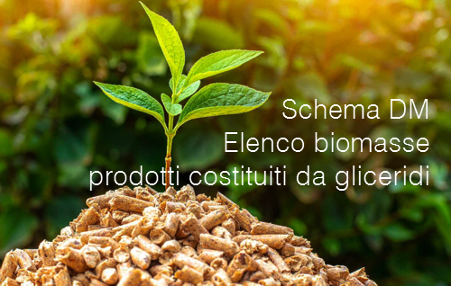 Schema DM Elenco biomasse a uso combustibile gliceridi di origine vegetale Schema DM Elenco biomasse a uso combustibile gliceridi di origine vegetale