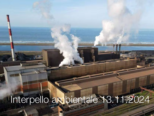 Interpello ambientale 13 11 2024 Interpello ambientale 13 11 2024