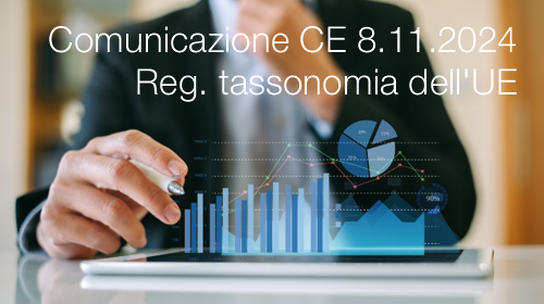 Comunicazione CE dell 8 11 2024
