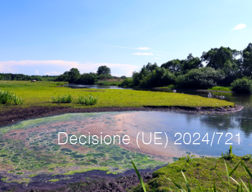 Decisione UE 2024 721 Decisione UE 2024 721
