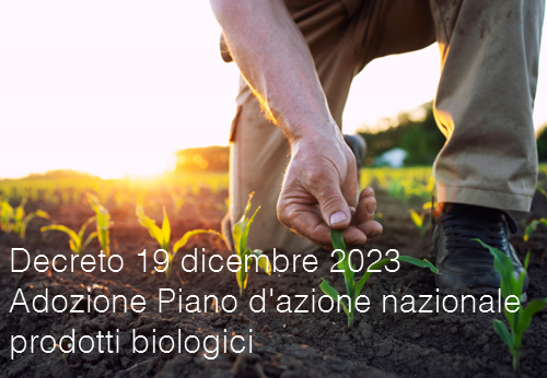 Decreto 19 dicembre 2023 Decreto 19 dicembre 2023