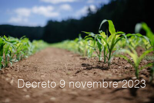 Decreto 9 novembre 2023 Decreto 9 novembre 2023