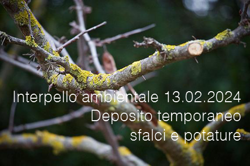 Interpello ambientale 13 02 2024 Deposito temporaneo sfalci e potature Interpello ambientale 13 02 2024 Deposito temporaneo sfalci e potature