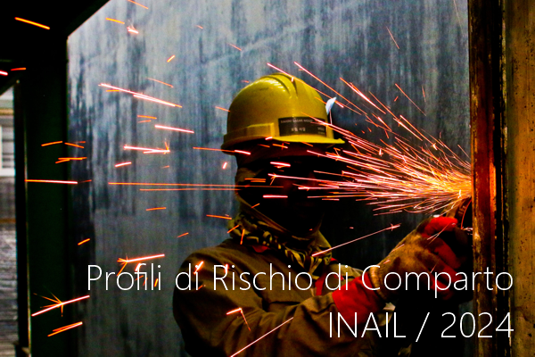 Profili di Rischio di Comparto INAIL 2024 Profili di Rischio di Comparto INAIL 2024