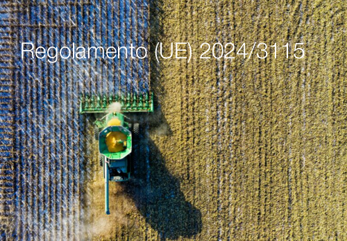 Regolamento UE 2024 3115 Regolamento UE 2024 3115
