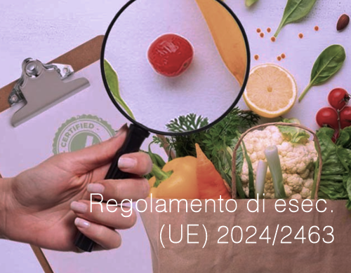 Regolamento di esecuzione UE 2024 2463 Regolamento di esecuzione UE 2024 2463