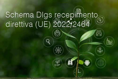Schema Dlgs recepimento Direttiva 2022 2464 Schema Dlgs recepimento Direttiva 2022 2464