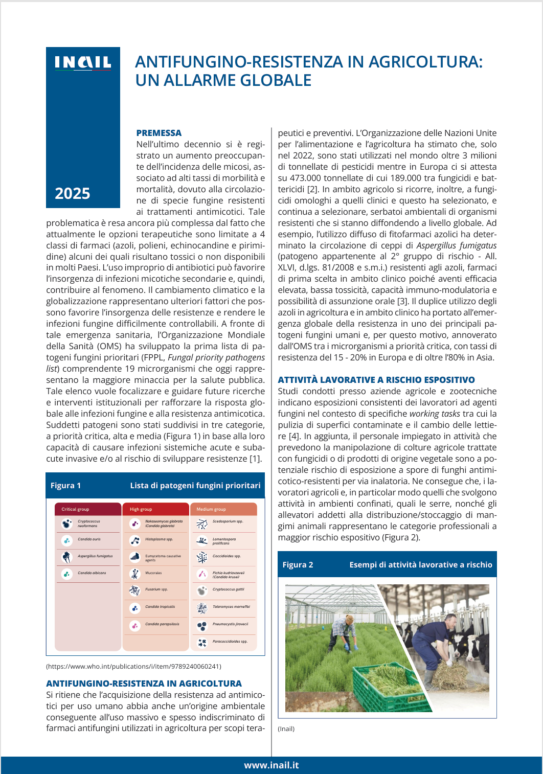 Antifungino resistenza in agricoltura   un allarme globale