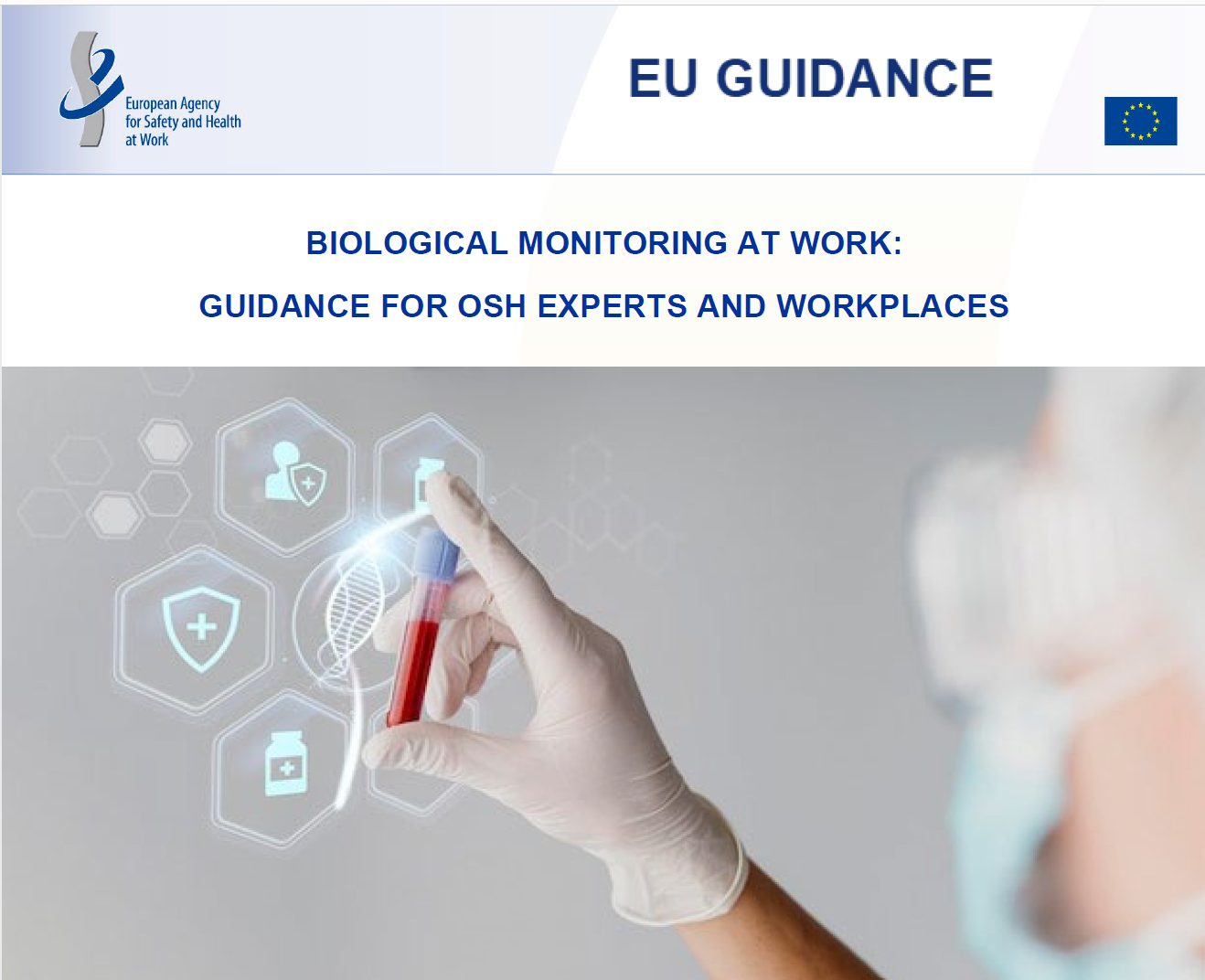 BIOLOGICAL MONITORING AT WORK GUIDANCE FOR OSH EXPERTS AND WORKPLACES BIOLOGICAL MONITORING AT WORK GUIDANCE FOR OSH EXPERTS AND WORKPLACES