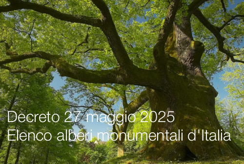 Decreto 27 maggio 2025 Elenco alberi monumentali d Italia