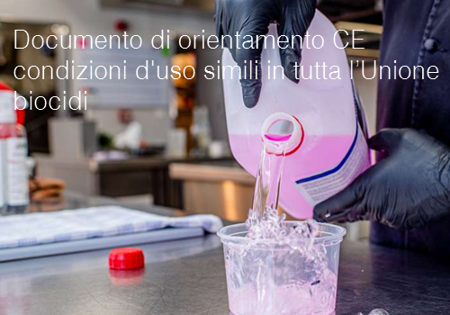 Documento di orientamento CE condizioni d uso simili in tutta l Unione biocidi Documento di orientamento CE condizioni d uso simili in tutta l Unione biocidi