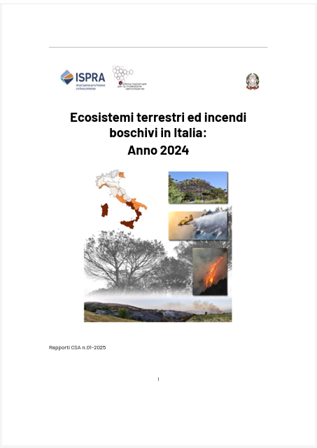 Ecosistemi terrestri ed incendi boschivi in Italia Anno 2024