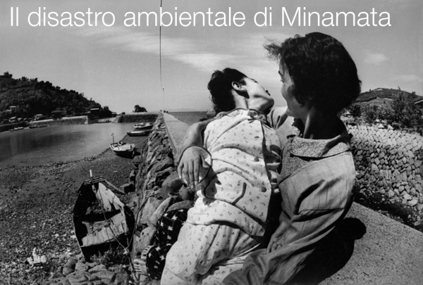 Il disastro ambientale di Minamata Il disastro ambientale di Minamata