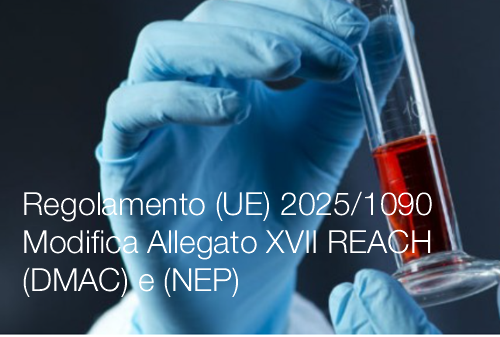 Regolamento  UE  2025 1090 Modifica Allegato XVII REACH   DMAC e NEP