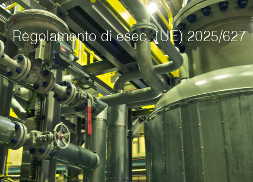 Regolamento di esecuzione  UE  2025 627