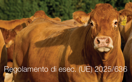 Regolamento di esecuzione UE 2025 636 Regolamento di esecuzione UE 2025 636