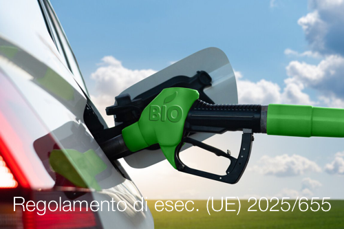 Regolamento di esecuzione UE 2025 655 Regolamento di esecuzione UE 2025 655