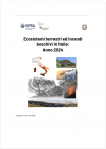 Ecosistemi terrestri ed incendi boschivi in Italia Anno 2024