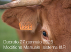 Decreto 27 gennaio 2025 Decreto 27 gennaio 2025 Modifiche Manuale operativo sistema I R